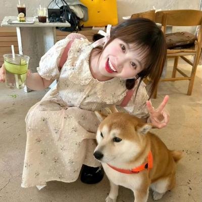 台北女子图鉴